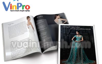 Catalogue là gì? Cấu tạo và sự quan trọng của Catalogue trong kinh doanh
