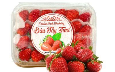 In tem dâu tây chuyên nghiệp, thiết kế mẫu đẹp